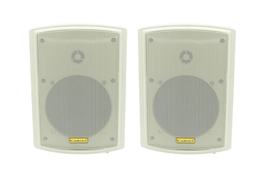 ON-54 Satellite indoor/outdoor all-weather, monitor-style speakers